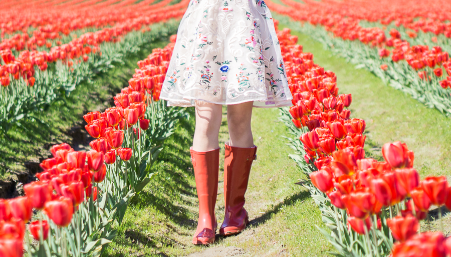 skagit tulip fields washington, floral dress chicwish garden embroidered beige organza dress, red rain boots outfit