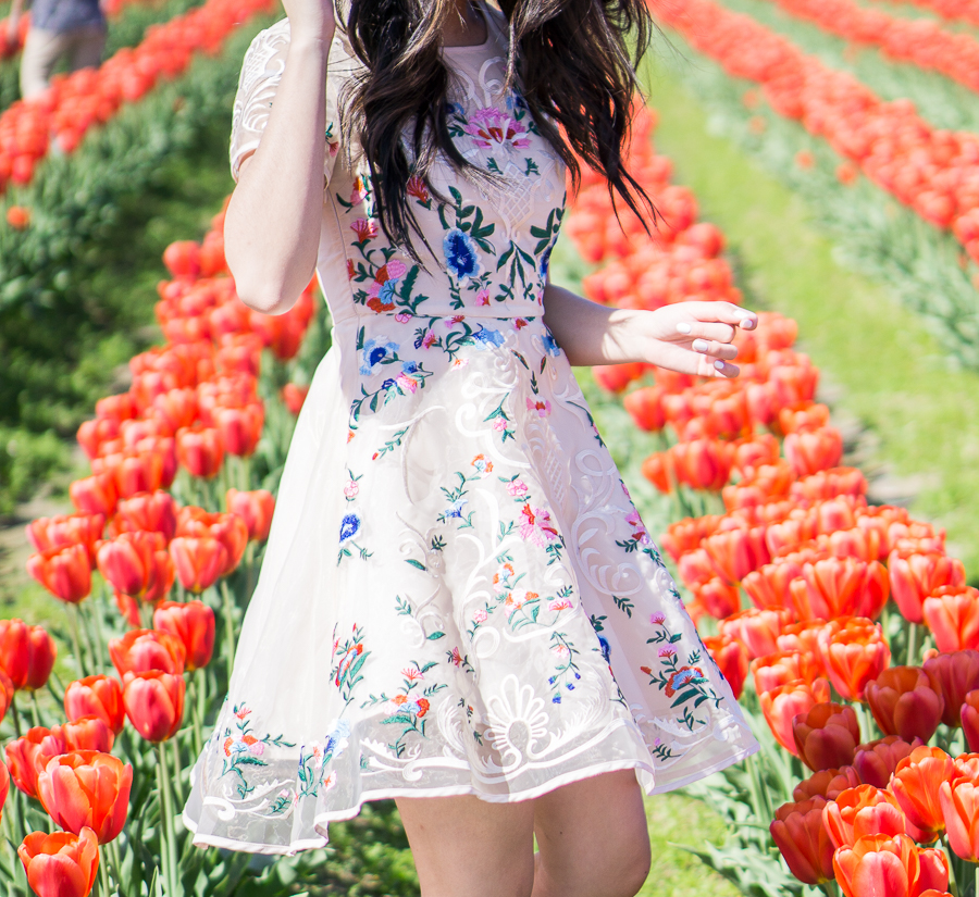 skagit tulip fields washington, floral dress chicwish garden embroidered beige organza dress, spring fashion