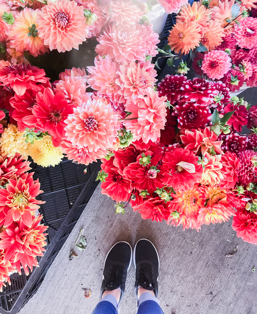 Nike Flyknit, dahlias, fall flowers, blogger lifestyle, fall feels, Seattle fashion blogger