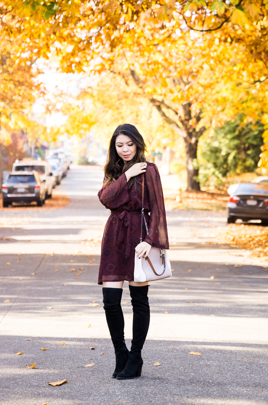 Dress and over the knee boots, fall fashion, cute fall outfit, burgundy fit flare dress, petite Seattle fashion blogger, BB Dakota dress, Marc Fisher over the knee boots