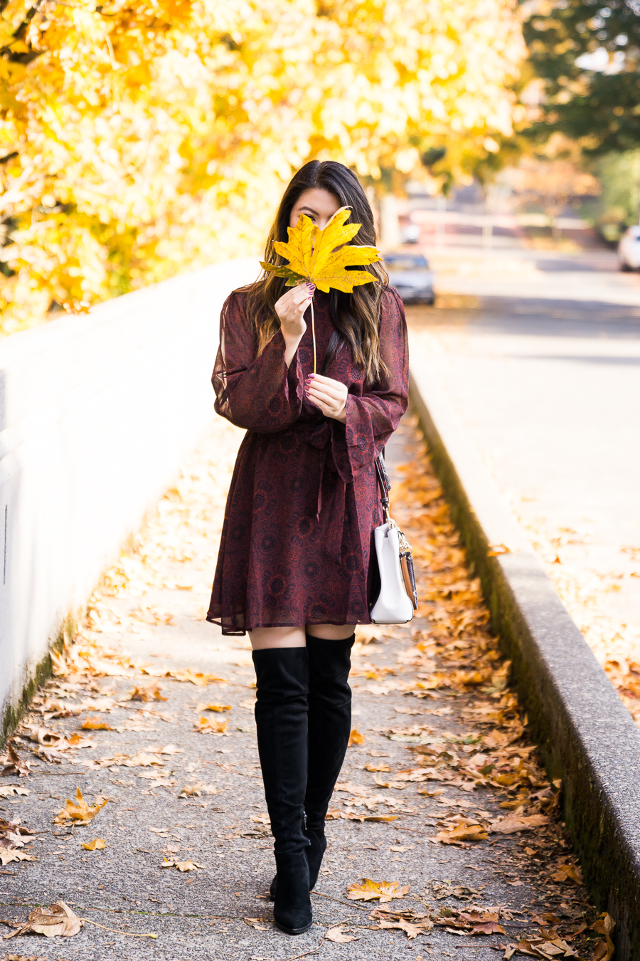 fall dress with boots