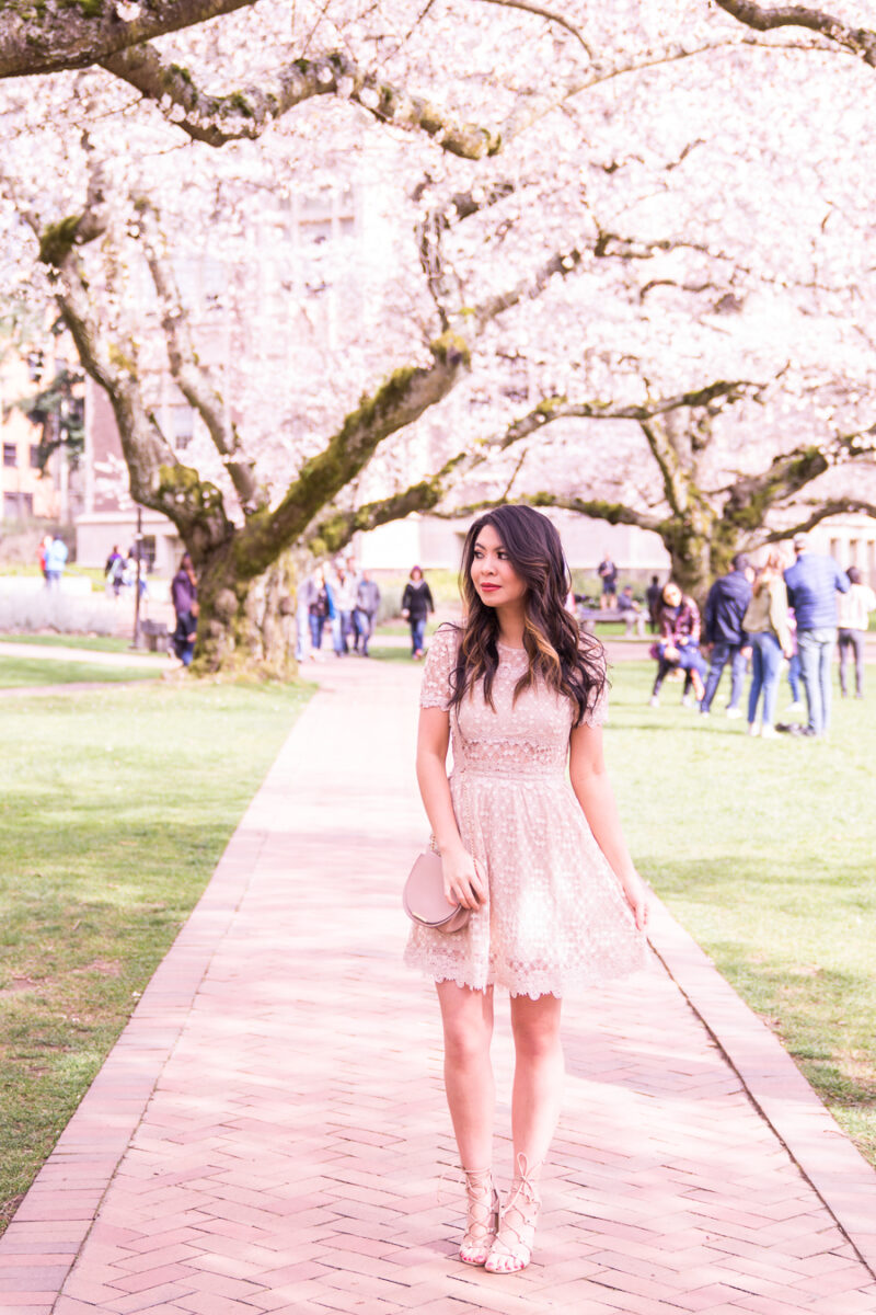 Tips on how to see UW cherry blossoms at University of Washington in Seattle, WA from Seattle fashion blogger Just A Tina Bit. She's wearing a lace dress