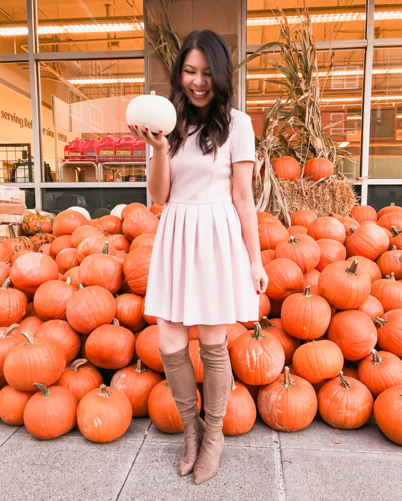 Pumpkin pile, blush dress, Steve Madden over the knee boots, Seattle fashion blogger