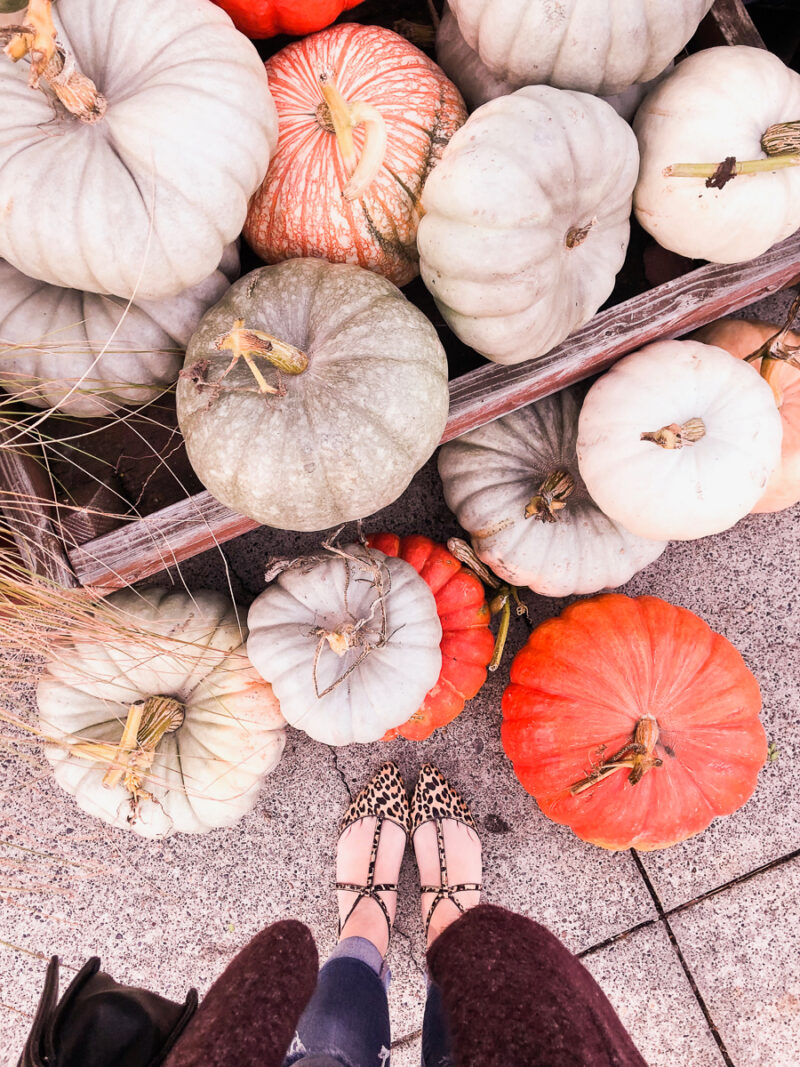 Pumpkins and leopard shoes for all the fall feels, Seattle fashion blogger