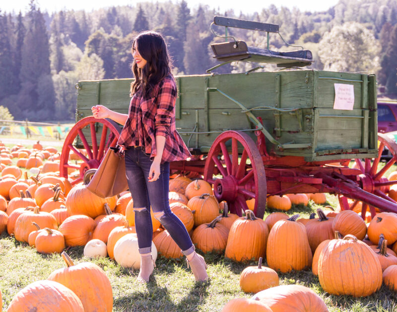 What to wear to the pumpkin patch, pumpkin patch outfit, red plaid peplum top, ripped jeans, open toe booties, fall outfit, fall fashion, Bobs Corn Maze, Seattle fashion blog Just A Tina Bit