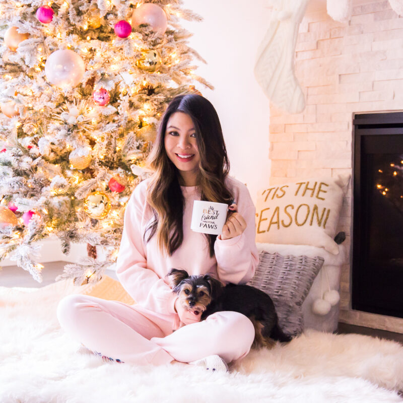 Cute Christmas pajamas womens pjs holiday, Seattle fashion blog