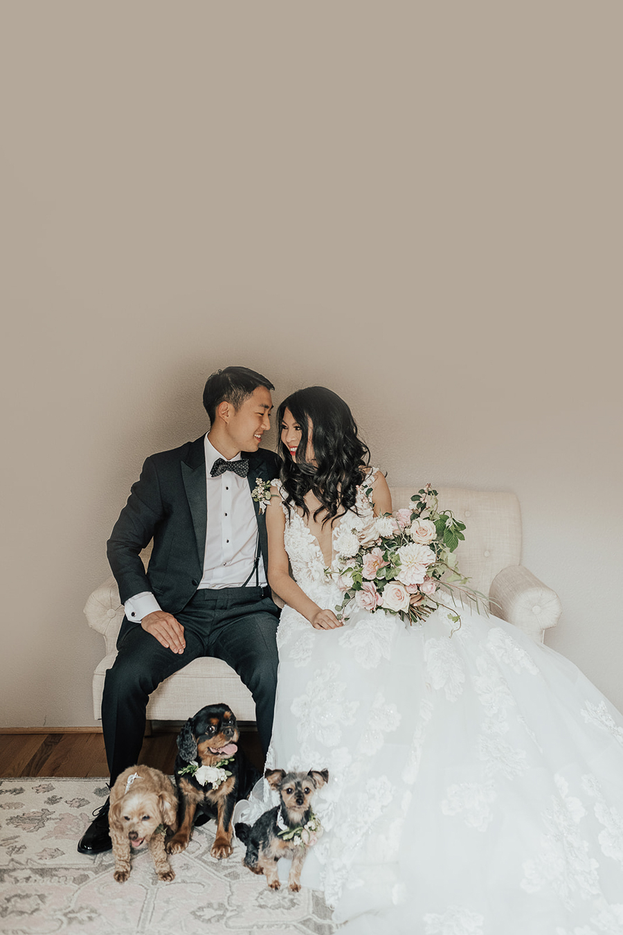Tips for having dogs in your wedding, bride and groom photos with dogs