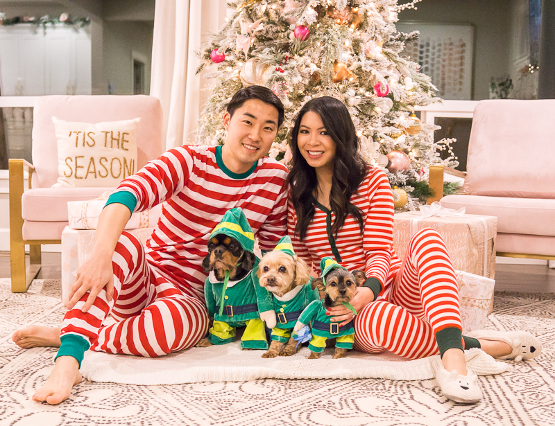Pink and gold Christmas decorations 2019, dogs in elves costume, Instagram photo in front of Christmas tree, family matching Christmas pajamas, red and green stripe pjs