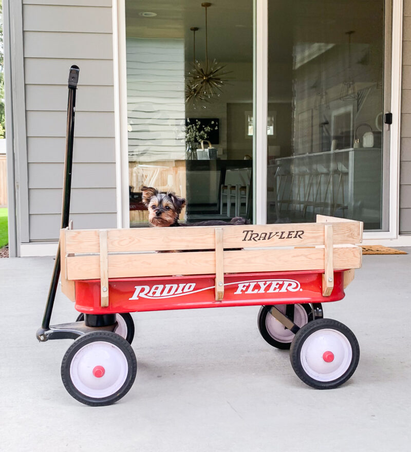 Red Radio Flyer wagon