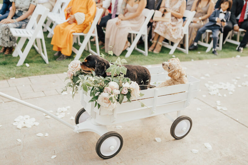 DIY project spray paint Radio Flyer wagon all white, white wagon, wedding wagon with flowers, flower wagon, wedding dog wagon