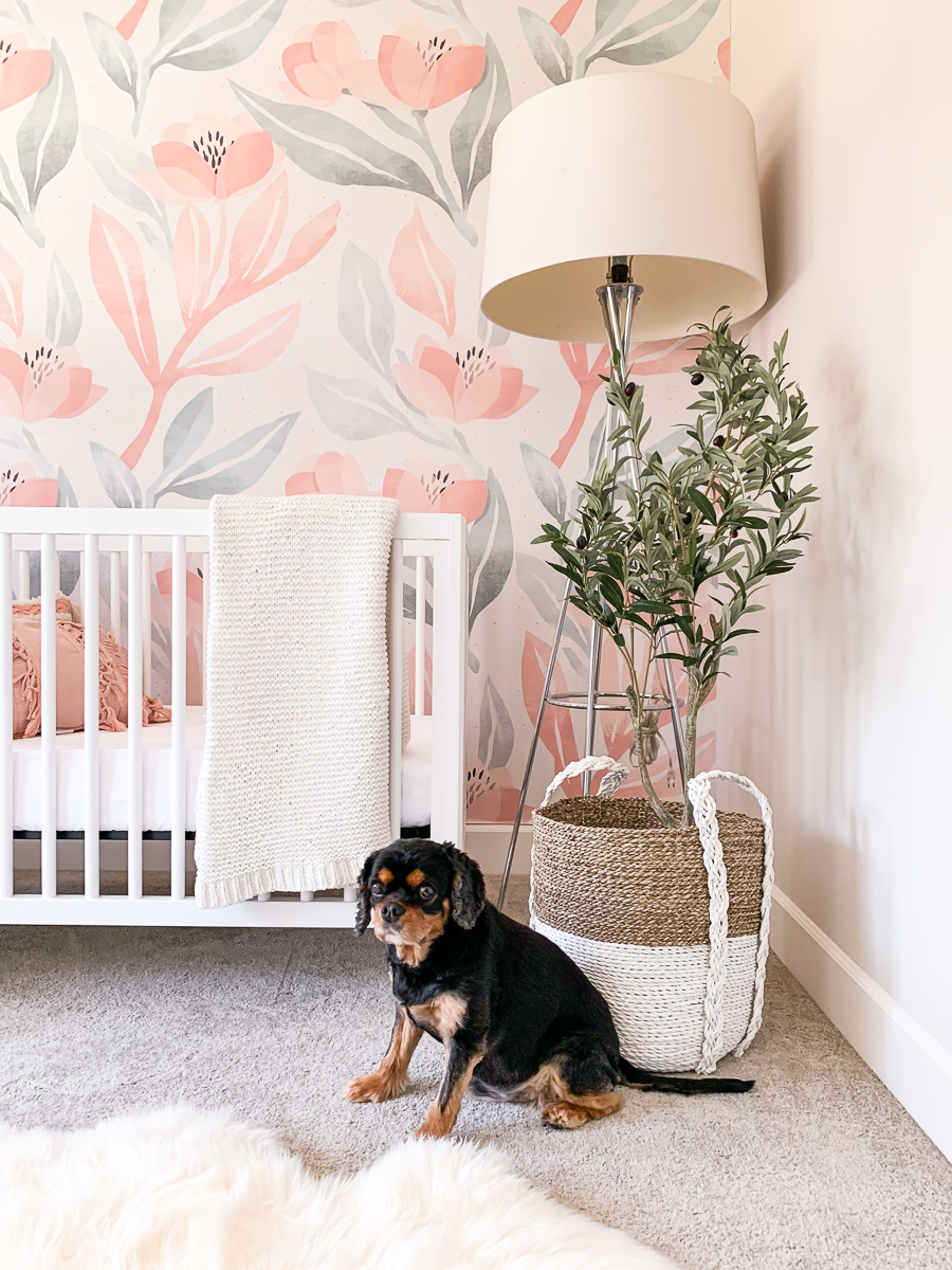 Second trimester pregnancy update, nursery decor, nursery wallpaper, olive tree, crib
