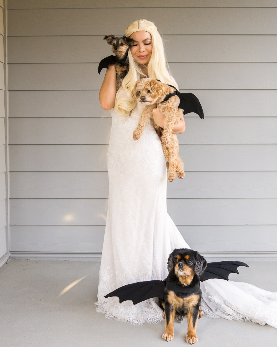 DIY Pet Halloween costumes - Your Modern Family