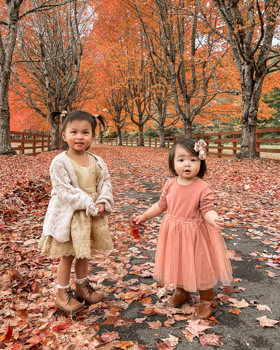 Fall family photos, toddler girl fall outfits with tulle dress, velvet bow, boots, cardigan