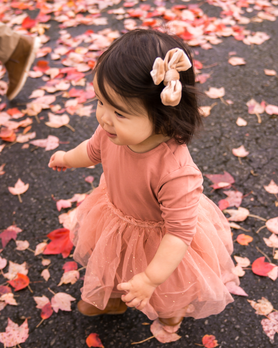 Fall family photos, toddler girl fall outfit with tulle dress, velvet bow, and boots