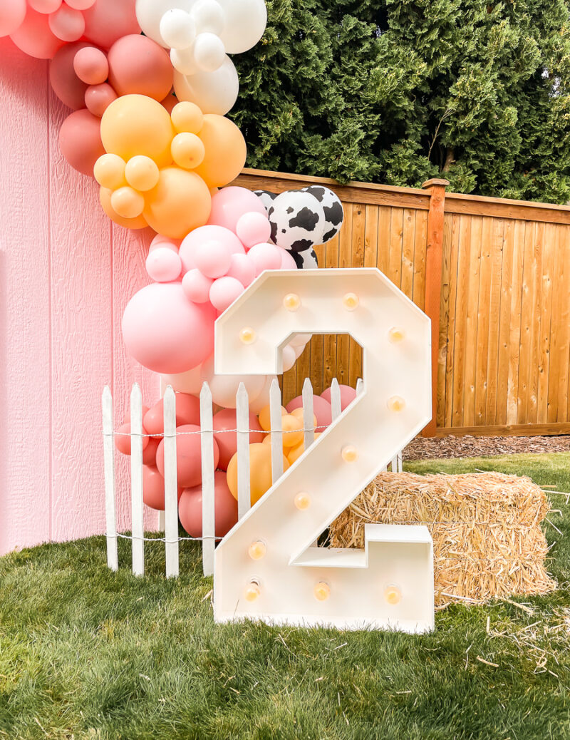 barn birthday photo ideas