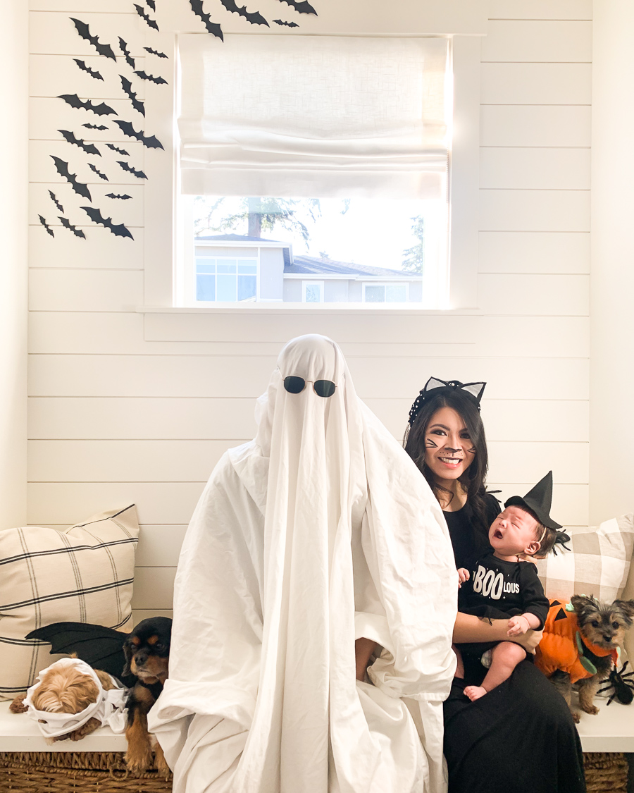 DIY Halloween Costume, Easy Costume Ideas, Original Costume, Family Halloween Costume, Pet Halloween Costume, Cat, Ghost, Unicorn, Wednesday Adams, Squid Games, Targaryen, Dragons, Halloween
