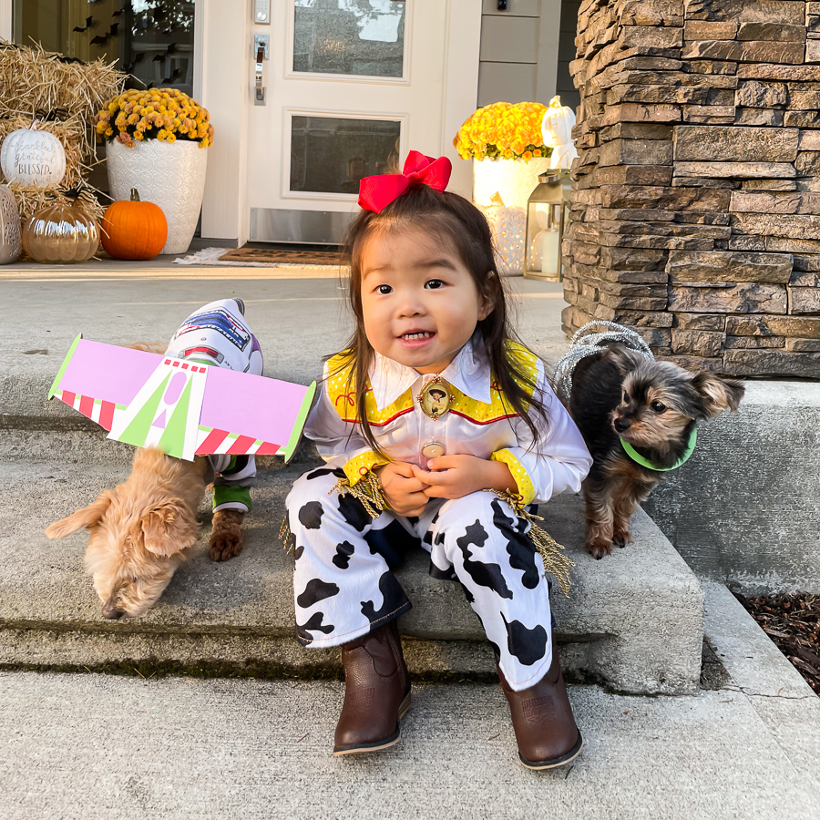 kids jessie costume, matching family costumes, DIY jessie costume, dog Buzz Lightyear costume, Slinky dog costume
